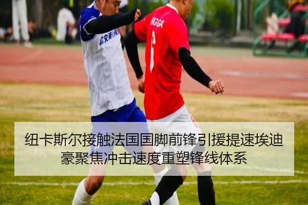 纽卡斯尔接触法国国脚前锋引援提速埃迪豪聚焦冲击速度重塑锋线体系